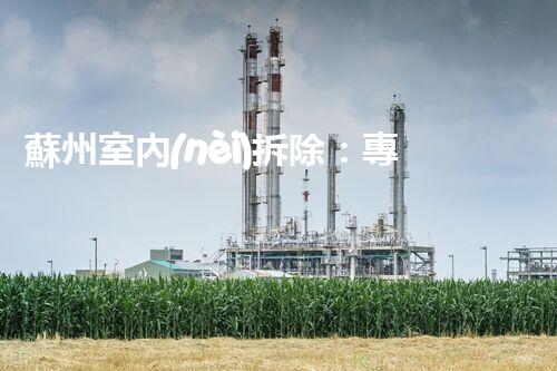 蘇州室內(nèi)拆除：專業(yè)高效，安全環(huán)保一站式服務(wù)